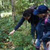 Kinderfeuerwehr - Tagesausflug in das Wisentgehege Springe 11.08.2018